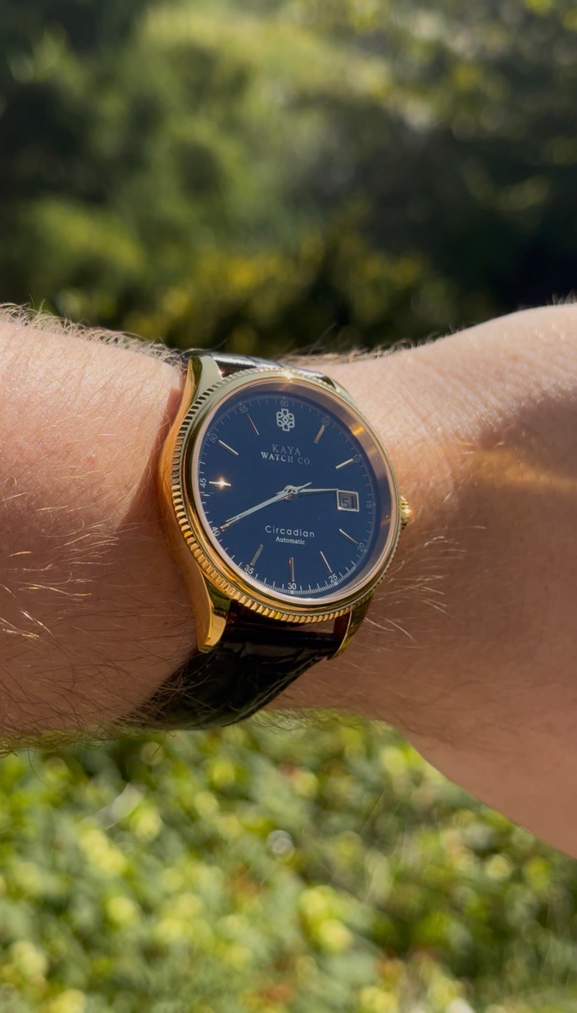 Circadian Black Eclipse