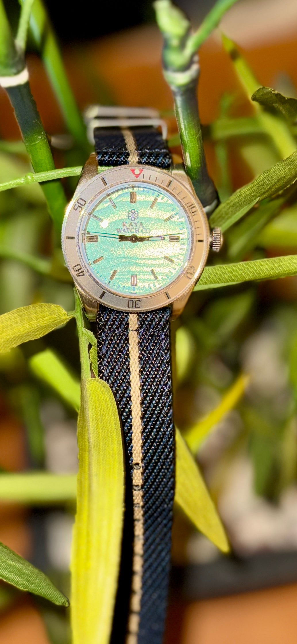 Ocean Mistral Diver
