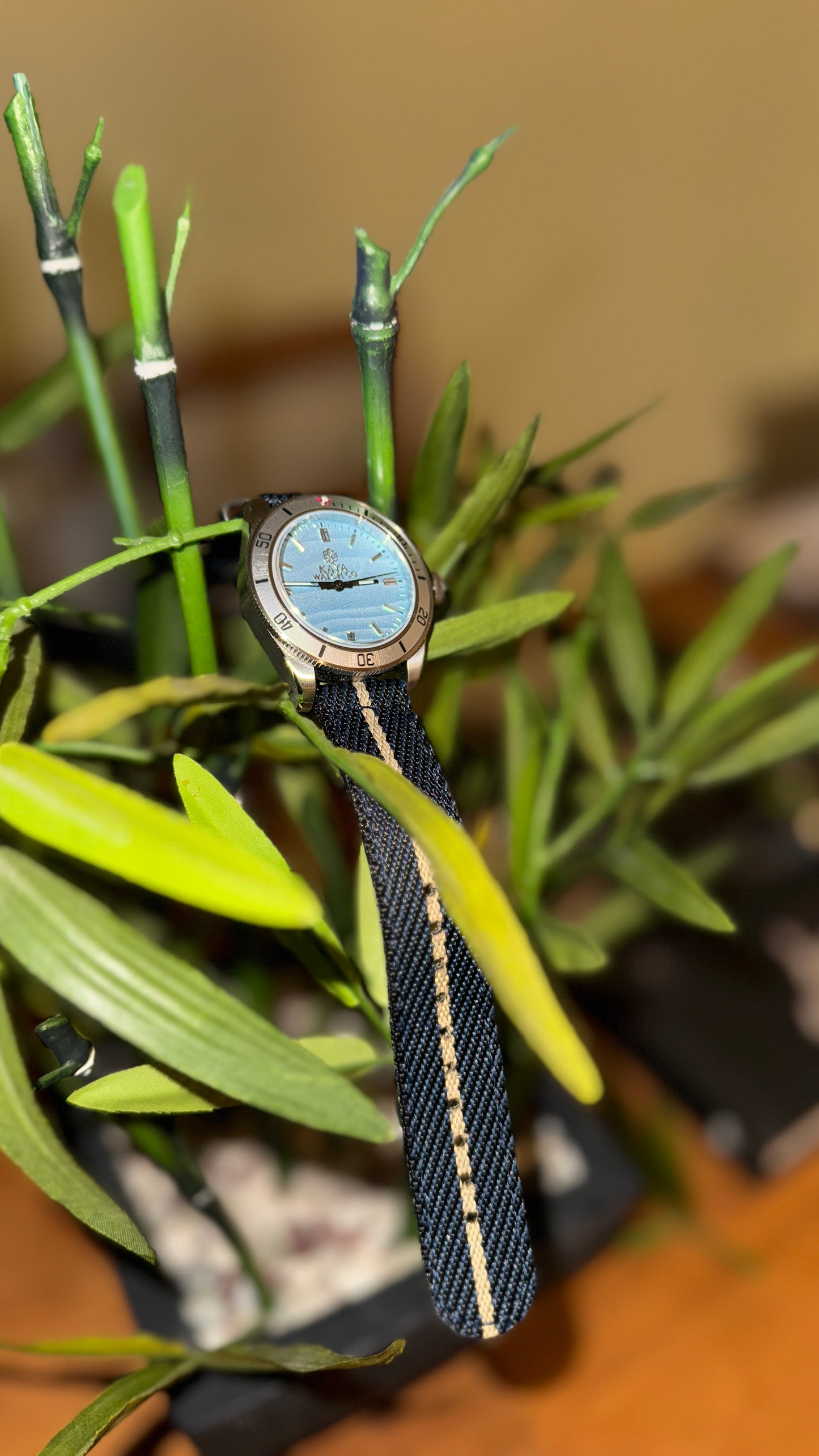 Ocean Mistral Diver