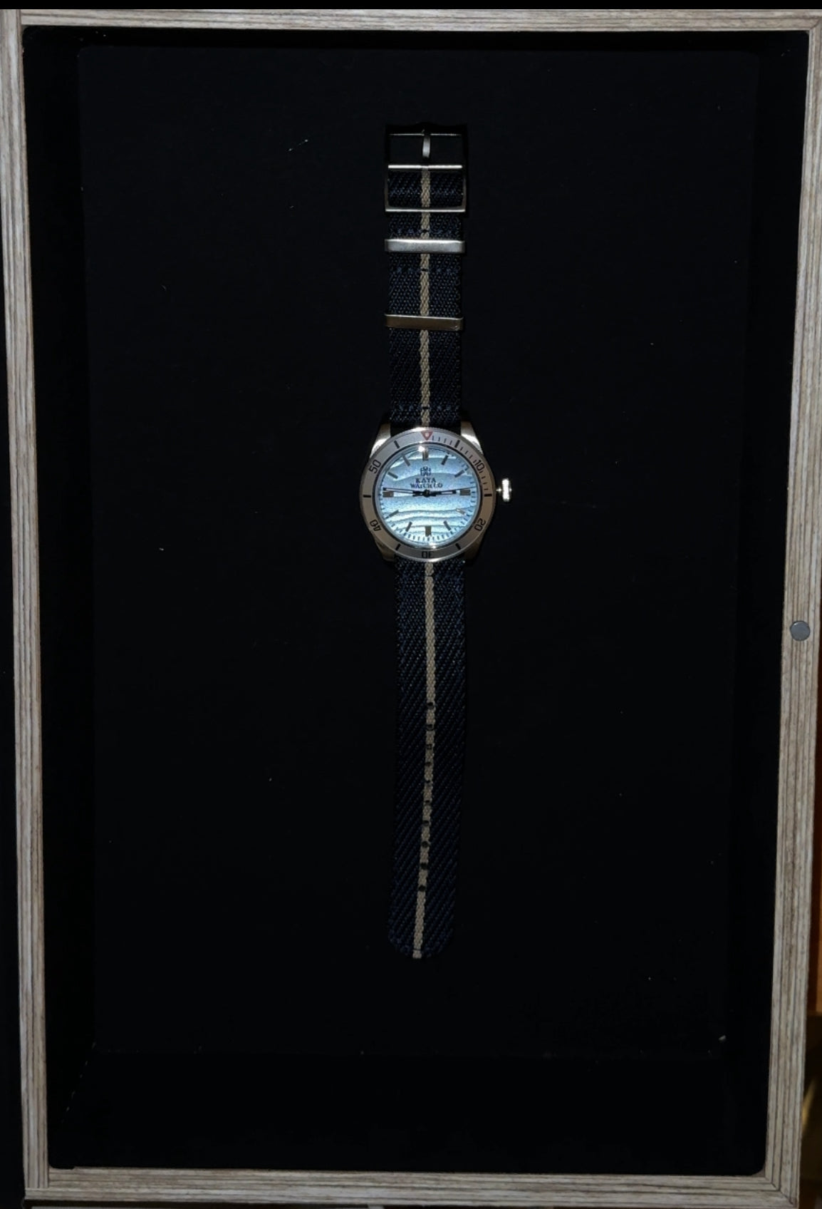Ocean Mistral Diver
