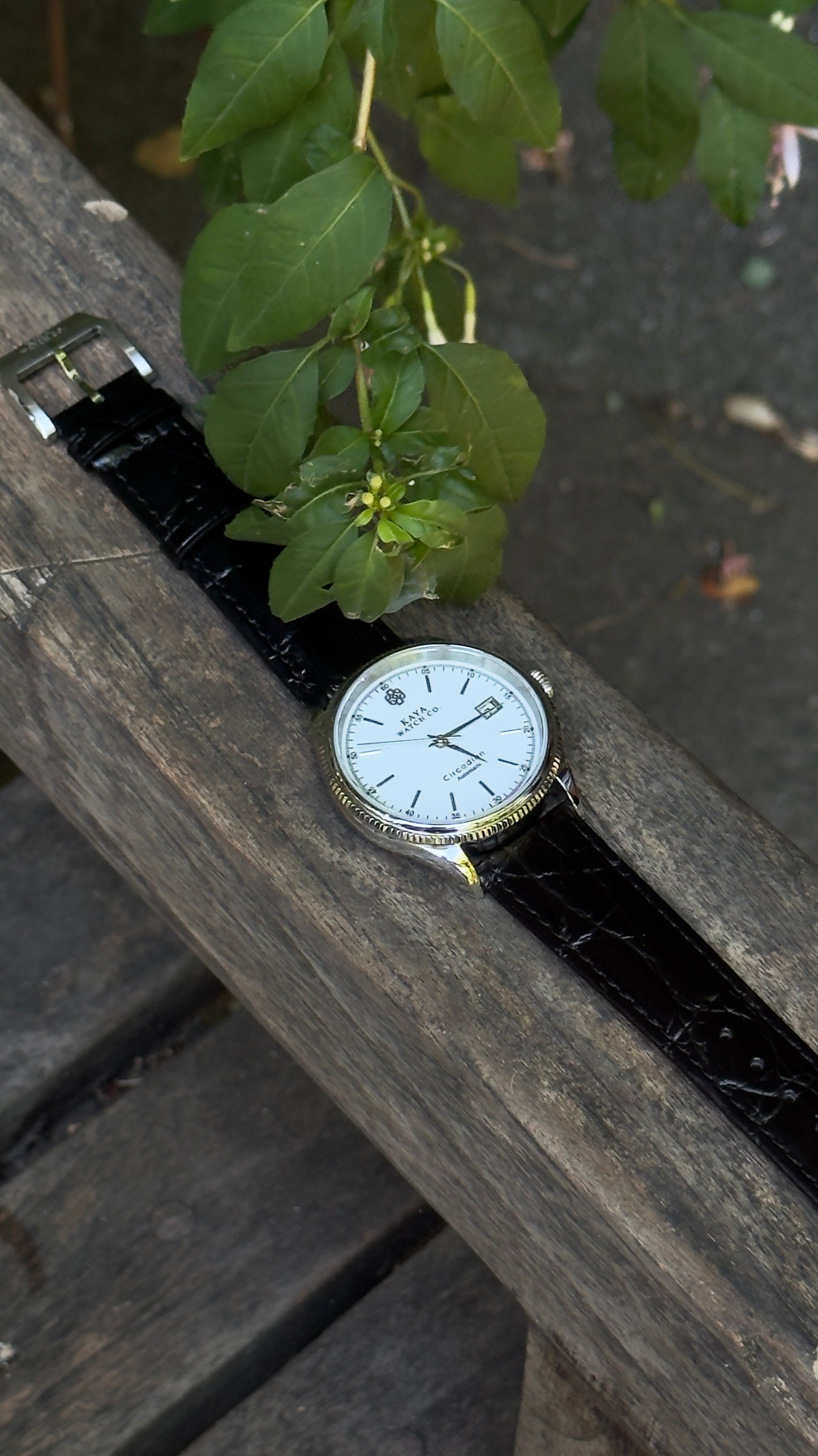 Circadian White Meridian