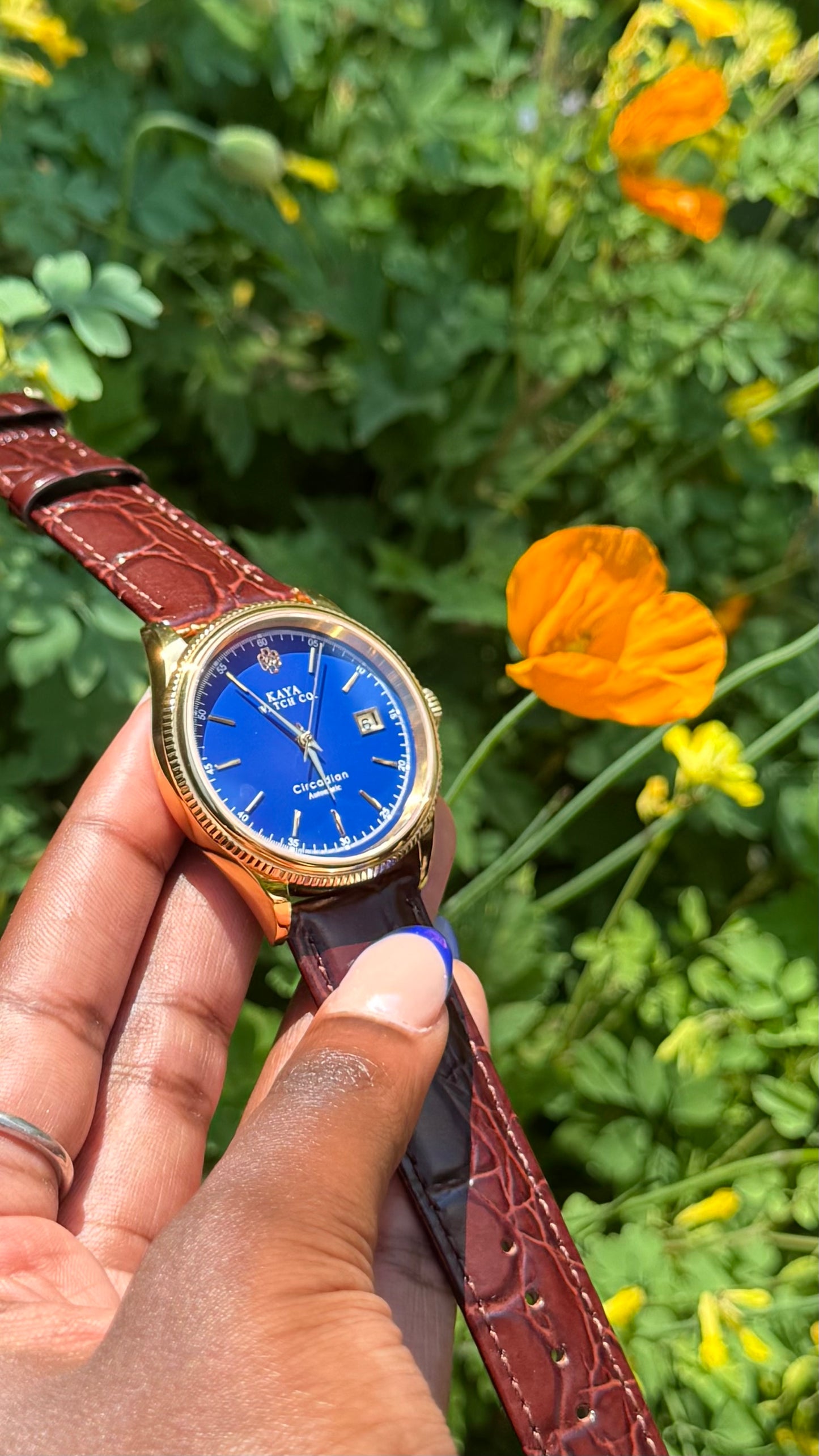 Circadian Blue Azure