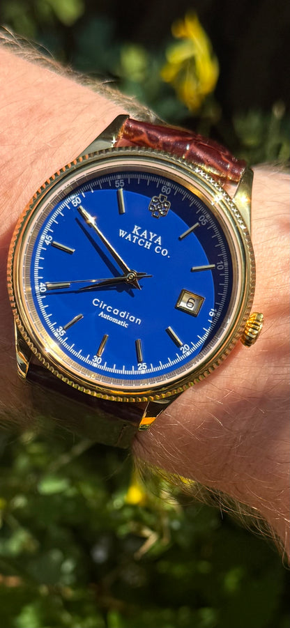 Circadian Blue Azure
