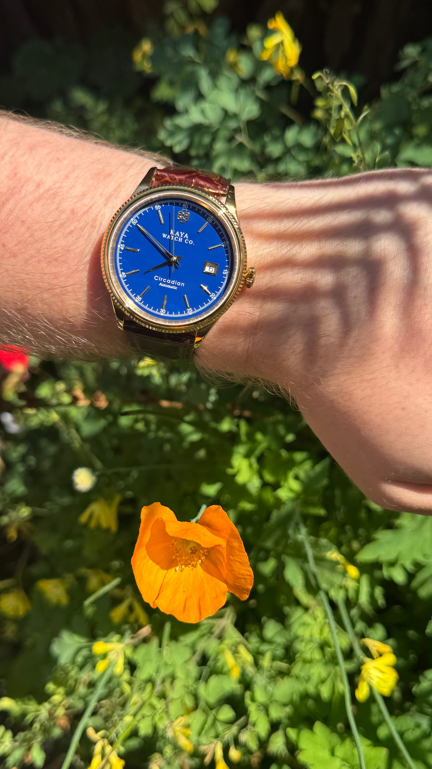 Circadian Blue Azure