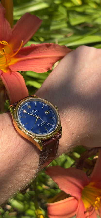 Circadian Blue Azure