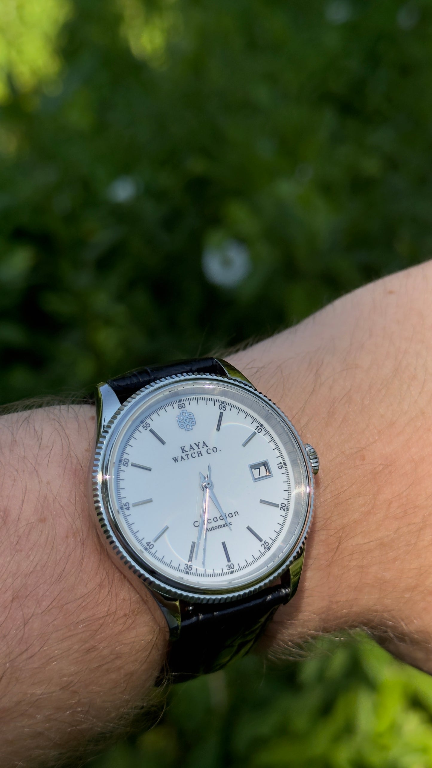 Circadian White Meridian
