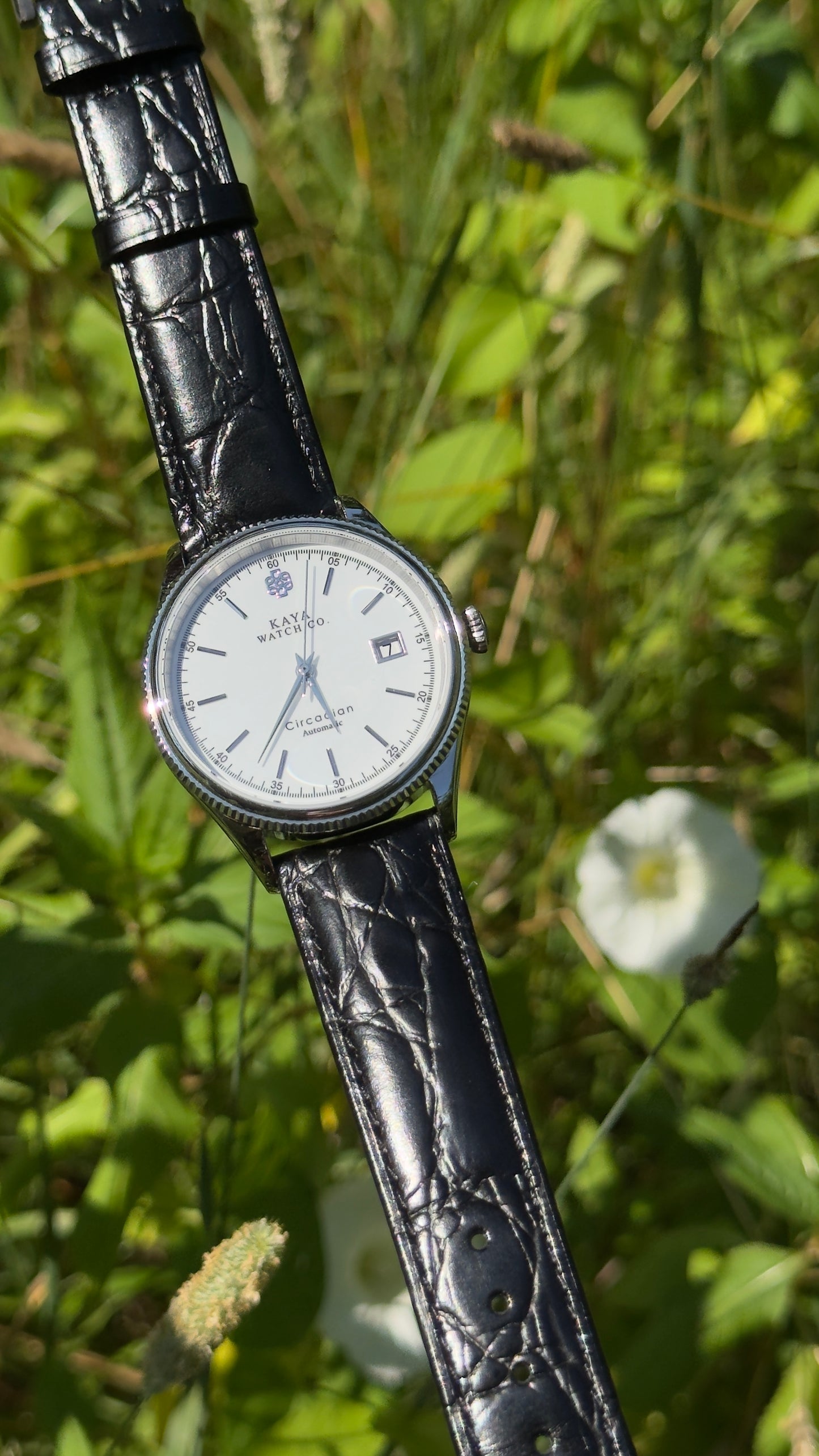 Circadian White Meridian