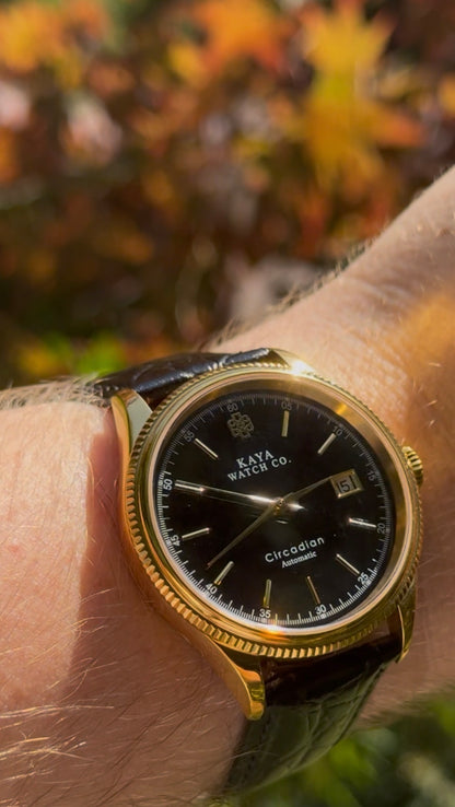 Circadian Black Eclipse