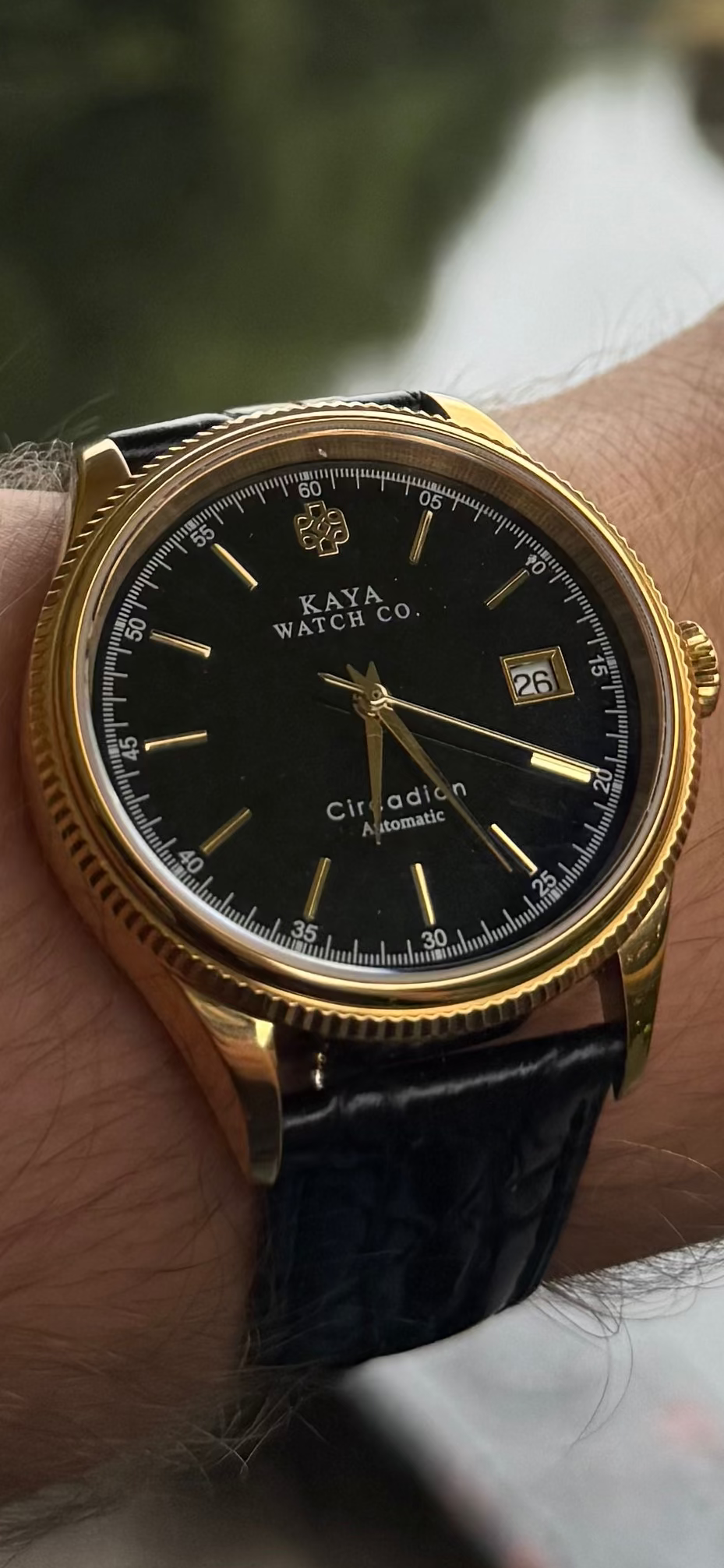 Circadian Black Eclipse